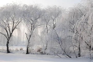 十月一晚上能烧纸吗?十月一晚上烧纸好吗
