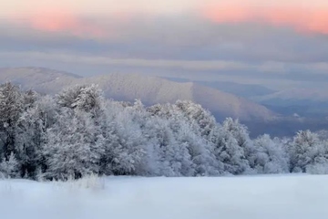 寒衣节上坟上午还是下午,寒衣节上坟有什么讲究