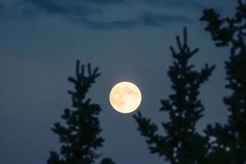 农历十月十五是鬼节吗