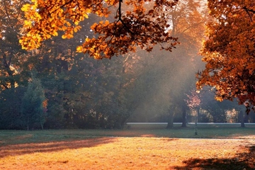 祭拜已故亲人的祭拜语