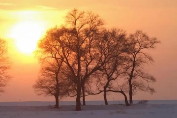 祭奠亲人七七怎么祭奠
