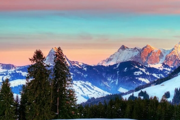 祭奠亲人七七怎么祭奠