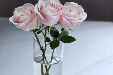 祭奠亲人七七怎么祭奠