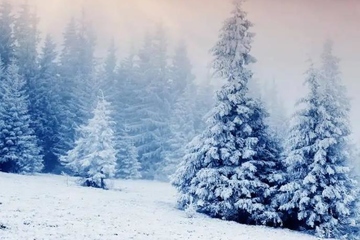 冬至应该说快乐还是安康,冬至可以说快乐吗