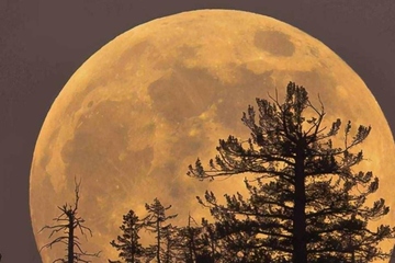 元宵节是什么季节,元宵节在哪一个季节