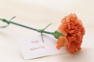 母亲节:给妈妈的爱,网上祭祀平台心纪奠也能遥寄传达