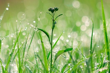 网上祭祀平台哪个最好,网上祭祀平台哪个正规