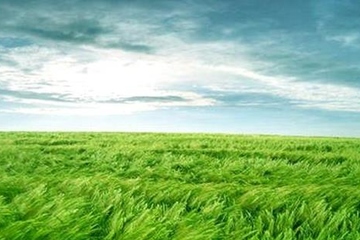 网上祭祀平台哪个最好,网上祭祀平台哪个正规