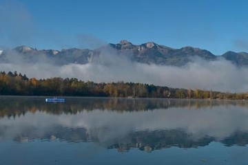 网上清明节扫墓,今年清明网上扫墓怎样做