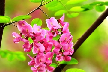 网上祭扫先烈,清明节网上祭奠先烈