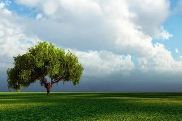 网上怎样祭奠父母,网上如何悼念已故老人