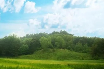 最好的网上祭奠平台,网上祭祀平台哪个正规