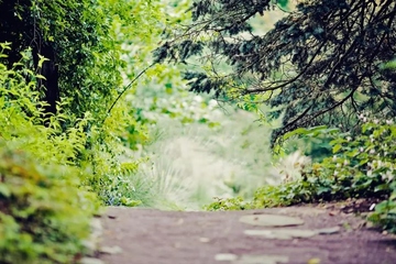 端午节送礼提前多少天合适,端午节送礼需要提前送吗