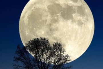 中秋十五的月亮十六圆的原因