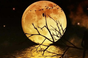 中秋节代表着什么象征