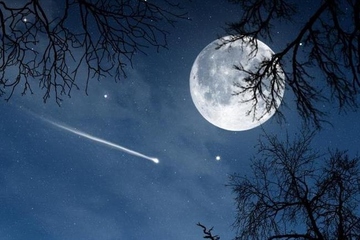 中秋节吃柚子是哪里的风俗