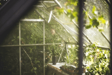 老人去世周年是当天还是提前一天