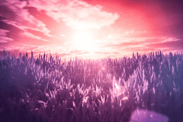 老人三七有什么讲究都烧什么