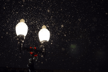 对逝者的哀思短句