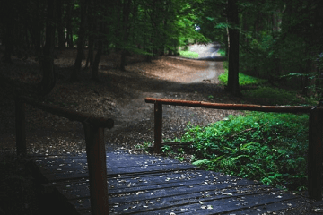 对逝者的哀思短句