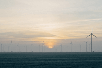 全国公祭日是哪一天