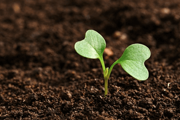 讣告通知怎么写模板