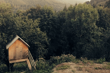 清明节为什么扫墓