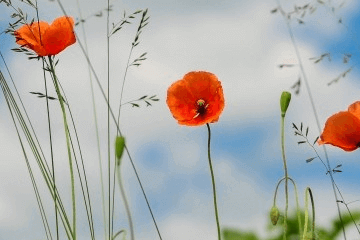 挽联应该怎么处理