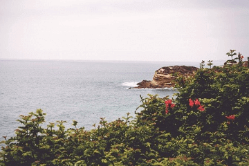 碑文上一般写几代人的名字